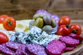 Slices of various types of cheese and dry smoked salami sausage on wooden background. Traditional italian antipasto platter Royalty Free Stock Photo