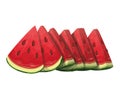 Slices watermelon fruit Royalty Free Stock Photo