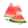 Slices of watermelon