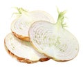 slices white onion realistic watercolor drawing. spices and cooking, seasonings