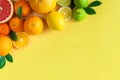 Oranges and citruses isolated on yellow background