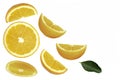 slices of yellow lemon lime fruit with green leaf isolated on white Royalty Free Stock Photo