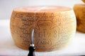 Slicing a large wheel of Grana Padano cheese