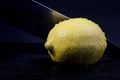 Slicing a Lemon