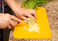 Slicing onions with a knife on the board Royalty Free Stock Photo