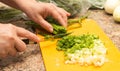 Slicing onions with a knife on the board Royalty Free Stock Photo
