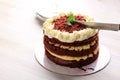 Red Velvet Cake, Classic Three Layered Cake from Red Butter Sponge Cakes with Cream Cheese Frosting Royalty Free Stock Photo