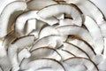 Slicing and shavings of coconut on a white plate Royalty Free Stock Photo