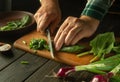 Slicing spinach leaves for a diet salad for lunch. The hands of the cook are preparing a salad of spinach and fresh vegetables on