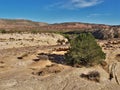 Slickrock Trail in Canyonlands National Park