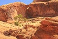 Slickrock Tree and Bow Tie Arch