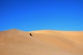 Slid on the sand dunes in the desert. Royalty Free Stock Photo
