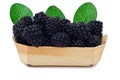 A slide of blackberries in a wooden box with dew drops on berries