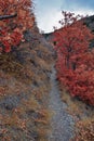 Slide Canyon hiking trail fall leaves mountain landscape view, around Y Trail, Provo Peak, Slate Canyon, Rock Canyon, Wasatch Rock Royalty Free Stock Photo