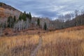 Slide Canyon hiking trail fall leaves mountain landscape view, around Y Trail, Provo Peak, Slate Canyon, Rock Canyon, Wasatch Rock Royalty Free Stock Photo