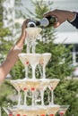 A slide of champagne. Pyramid of champagne glasses with red cherries.