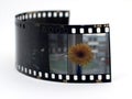 Slide film Royalty Free Stock Photo