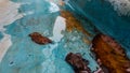 A slide inundated by water as well as fallen leaves