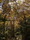 Slide Mountain in September in Catskills Mountains in New York State.