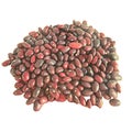 A slide of red beans.