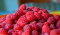 Slide of ripe delicious raspberry. Harvested crop. Summer brought its gifts.