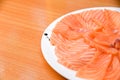 Slided Raw Salmon in white dish on wood blackground