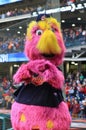 Slider, Indians fuzzy and fuchsia-colored mascot