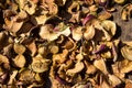 Slides thinly sliced apples drying in the sun, the background