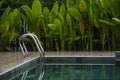 Slient private backyard swimming pool with nature garden theme with water reflection