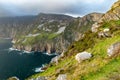 Slieve League, Irelands highest sea cliffs, located in south west Donegal along this magnificent costal driving route. One of the Royalty Free Stock Photo