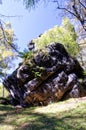 Slightly bended rock with trees