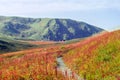 Slightly blurred autumn sunny alpine landscape on the Caucasus with a path on a foreground and roofs of huts in distance