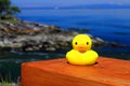 Yellow Rubber Duck on Bench at Boat Pass, Gulf Islands National Park, Saturna, British Columbia, Canada Royalty Free Stock Photo