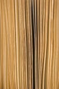 Slightly open book pages closeup background sepia Royalty Free Stock Photo