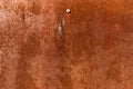 Slightly rough weathered and rusted orange red colors surface with Rust course and rust spots sheet steel with fastening screws an