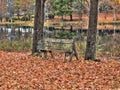 An old bench by a river Royalty Free Stock Photo