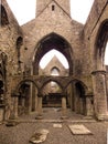 Sligo Abbey