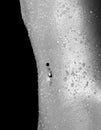 Slim female belly with a navel piercing and with drops of water on the skin