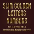 Slim golden letters, numbers, dollar, yen, pound and euro currency signs, exclamation and question marks