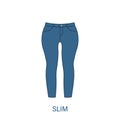 Slim Pants Type of Woman Trousers Silhouette Icon. Modern Women Garment Style. Fashion Casual Apparel. Beautiful Type of