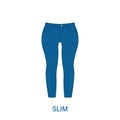 Slim Pants Type of Woman Trousers Silhouette Icon. Modern Women Garment Style. Fashion Casual Apparel. Beautiful Type of