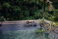 Slim brunette woman in swimsuit relaxing on edge tropical infinity pool in jungle. Palms around and crystal clean Royalty Free Stock Photo