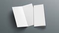 Slim Vertical Half Folded Brochure On Gray