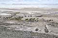 Slimey mud banks at Beal beach