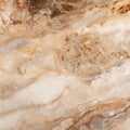 Slimy Marble: Close Up Image Of Gold Colored Brown Marble