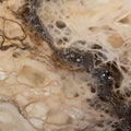 Slimy Marble: A Close-up View Of Biomorphic Abstraction