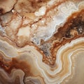 Slimy Marble: A Close Up View Of Textured Agate In Earth Tones