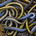 A slimy and slippery texture with eels and wet rocks2, Generative AI Royalty Free Stock Photo