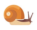 Slimy snail crawls on spiral shell design