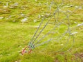 Sling and scrap in green yard, iron twisted rope fixed by screws snap hooks and grommets at anchor in ground. Royalty Free Stock Photo